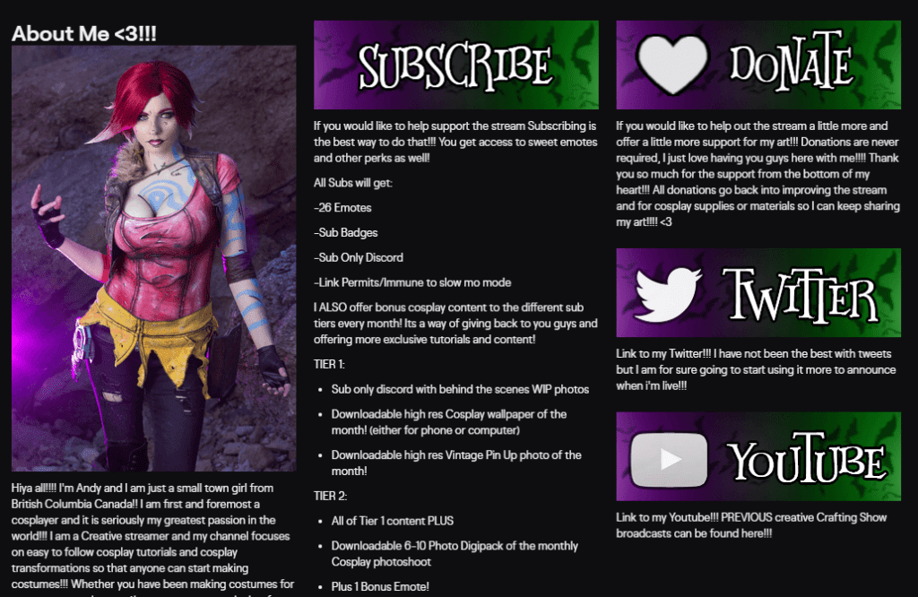 How To Write A Twitch Bio With Template Examples